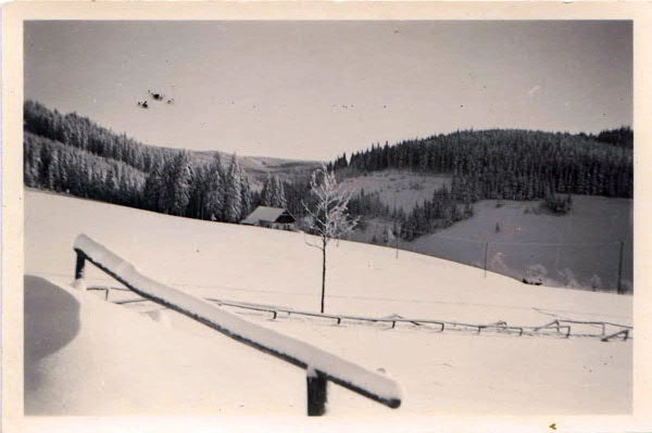 Winter