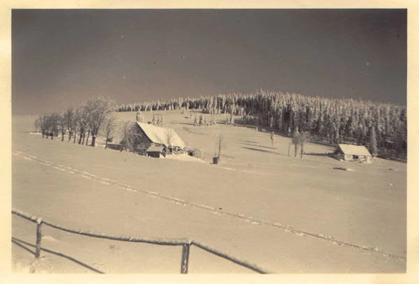 Winterlandschaft
